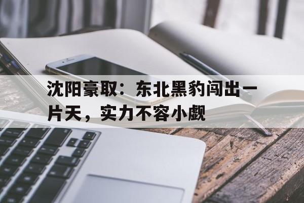 包含沈阳豪取：东北黑豹闯出一片天，实力不容小觑的词条