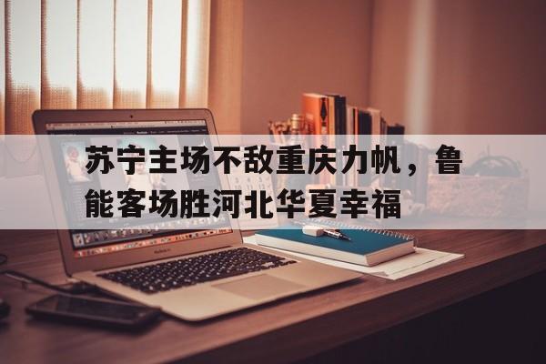 苏宁主场不敌重庆力帆，鲁能客场胜河北华夏幸福的简单介绍